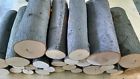 15lbs Beech Wood Logs For Smoking Arts And