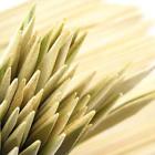 6937259121832a Barbecue Skewers Brand Premium Flat Style Bamboo Bbq 6937259121832