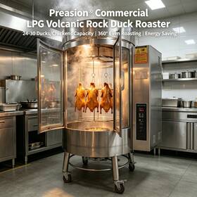24-30ducks Preasion 220664ec Commercial Lpg Roaster Stainless Steel Volcanic Rock Duck