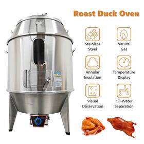 22m05a88 Preasion Natural Gas Chicken Duck Roaster Roast Grill Oven For Turkey