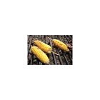 R815 Royal Paper Barbecue Natural Wood Stick Skewers Pack 660061149072