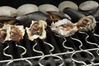 Sr8071 Steve Raichlen Best Of Barbecue Stainless Seafood Rack 050016780717