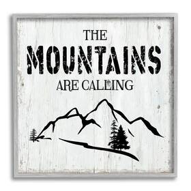 Stupell Industries 196216402155 Mountains Are Calling Rustic Phrase Distressed Plank Pattern Grey Framed Wall
