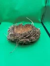 Natural Big Birds Made By Real Bird.abandoned Nest.. Fixed Price $75.00.