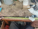 Global 26 Lp Pressure Regulator Hose. 601-B2-1-01 New Old Stock. Fixed Price $15.00.