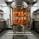 Charcoal & Lpg Dual-purpose Duck Roaster, Commercial Roasting Oven. Fixed Price $2647.75.