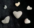 6 Natural Heart Shaped Ca Pacific Beach Stones Love Rocks Pebble Craft. Fixed Price $14.99.