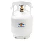 5 Lbs. Empty Propane Tank Cylinder With Overfill Protection Device. Fixed Price $64.89.