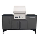 Tec 26-INCH Freestanding Bbq Gas Grill Midcentury Modern Island Of Kitchen. Fixed Price $6450.00.