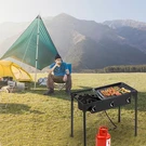Camping Stove High Pressure Propane Gas Cooker Portable Cast Iron Patio Cooking. Fixed Price $131.59.