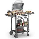 Free Village Propane Gas Grill With 2-BURNER,16000 Btu Stainless Steel Outdoor. Fixed Price $239.99.
