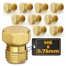 10PCS Propane Orifice Kit - M6X0.75MM, 0.5MM=0.02"=24AWG Brass Nozzle Tempera.... Fixed Price $33.58.