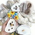 4"-5" Oyster Shells For Crafts 24PCS With Drill TOOL,12 Flat & Concave Natura. Fixed Price $44.17.