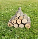 Rough Cut All Natural Hickory Wood Logs Bbq/grilling/smoking/crafts 15-20 Lbs. Fixed Price $34.99.