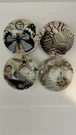 Pottery Barn Coastal Curiosity Set Of 4 Mini Dip Sauce Dishes Butterfly Starfish. Fixed Price $18.99.