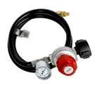 5FT High Pressure Propane Regulator With Gauge 0-30PSI Adjustable Output .... Fixed Price $56.59.