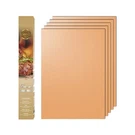 Aoocan Copper Mat Set Of 5 Non-stick Bbq Outdoor Grill, Grilli.... Fixed Price $21.60.