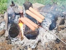 One 4 Prong Family Safety Long Hot Dog Roasting Fork Camp Fire Marshmallow Stick. Fixed Price $12.00.