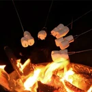 Roasting Sticks,marshmallow Kit Extending Roaster 32 Inch Set. Fixed Price $14.62.