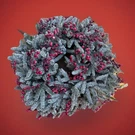 Balsam Hill 30 Red Berry Frosted Fraser Fur Wreath With Candlelight Led Lights. Fixed Price $45.00.