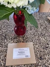 Pampered Chef Grilling Planks #2706 New!! Pack Of 8 Ships Fast!. Fixed Price $12.99.