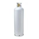 Home Heating Propane Tank Flame King 100LB Multi Valve YSN100MLT-1. Fixed Price $369.99.