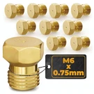 10PCS Propane Orifice Kit - M6X0.75MM, 0.5MM=0.02"=24AWG Brass Nozzle.... Fixed Price $10.88.