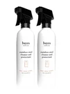 Bayes High-performance Stainless Steel Cleaner Spray, Polish, And Protectant. Fixed Price $36.49.