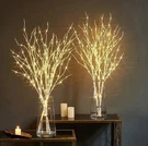 1PC White Birch Branch Lights 20 Led Battery Operated Fairy For Decoration. Fixed Price $14.46.