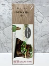 Grilling Planks Gena Knox Red Oak 2 Pack Fire And Flavor Cedar 15 5.5 New. Fixed Price $6.00.