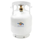 5LB Steel Propane Tank Refillable 1 Gallon Cylinder With Opd Valve. Fixed Price $84.95.