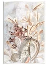 9409 Stupell Beige Seashells On Reef Wood Wall Plaque 10 X 15 Art New. Fixed Price $22.00.